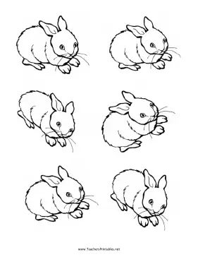 Bunny Rabbit Templates Teachers Printable