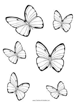 Butterfly Templates Teachers Printable