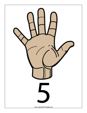 Number 5-Filled-With Label Teachers Printable