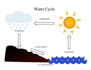 Water Cycle Chart Teachers Printable