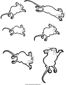 Mouse Templates