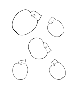 Apple Templates Teachers Printable