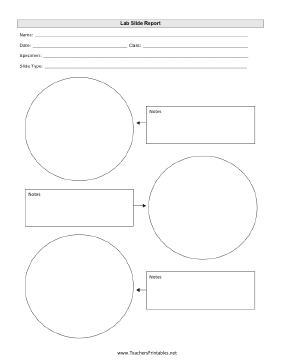 Microscope Lab Slide Report Teachers Printable