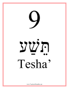 Hebrew 9 Feminine teachers printables