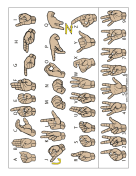 Letter and Number Chart-Filled-With Label teachers printables